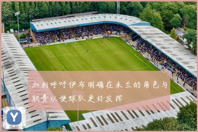 加利呼吁伊布明确在米兰的角色与职责以便球队更好发挥